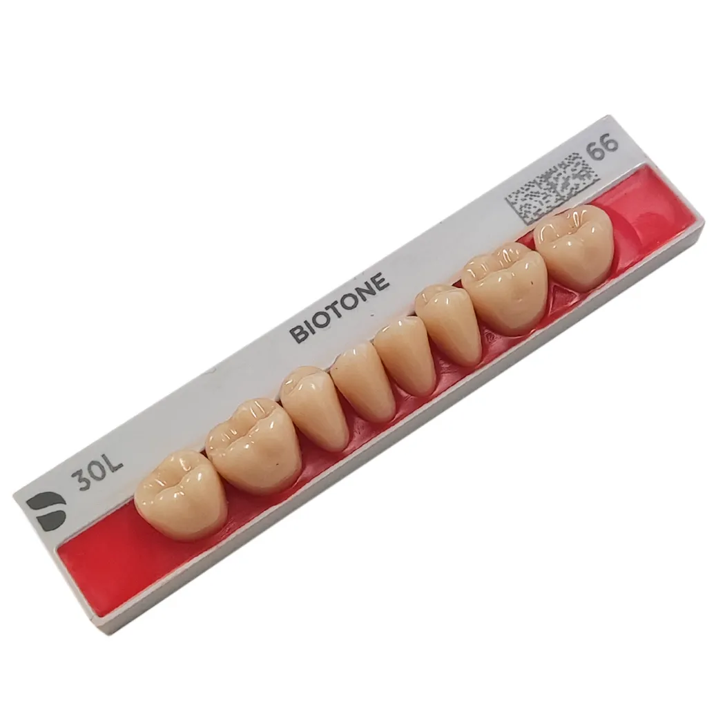 Dentes Biotone