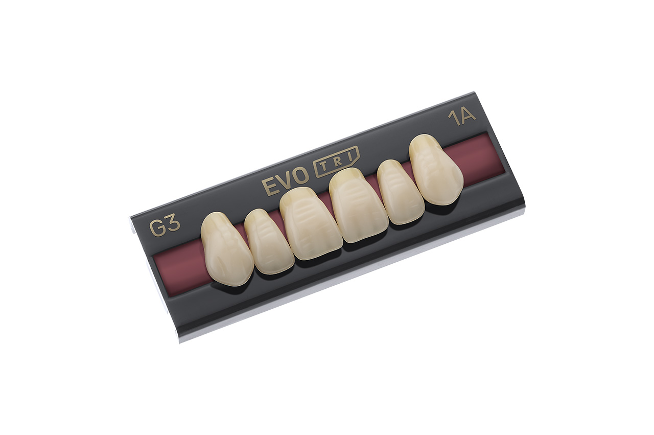 Dentes Evo Tri