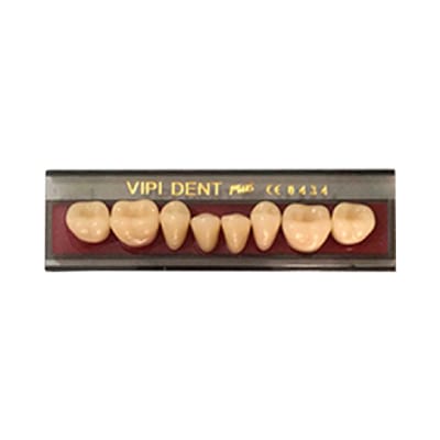 Dentes Vipi Dent Plus